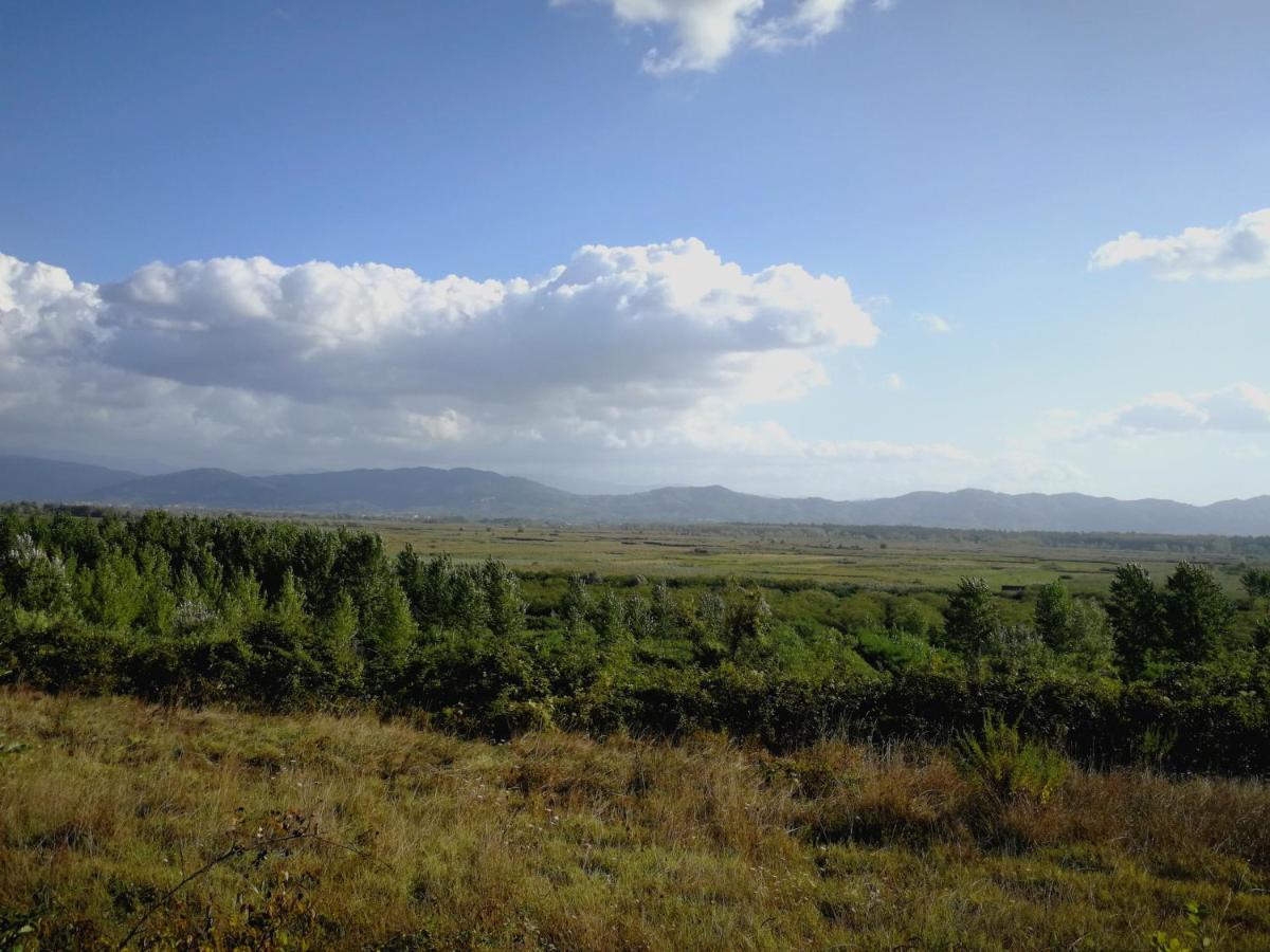 フチェッキオAz.Agricola Agriturismo La Locanda Di Lannアパートメント エクステリア 写真