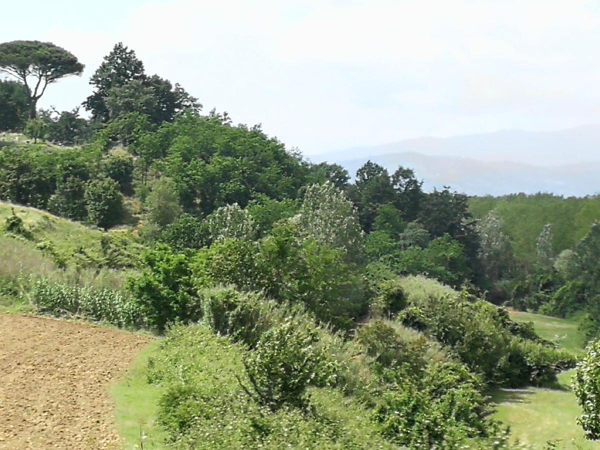 フチェッキオAz.Agricola Agriturismo La Locanda Di Lannアパートメント エクステリア 写真