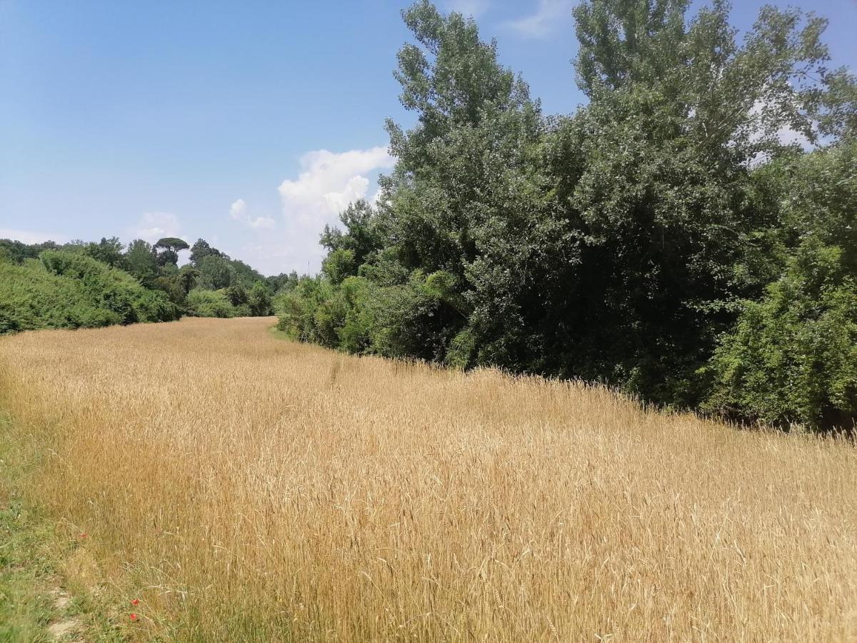 フチェッキオAz.Agricola Agriturismo La Locanda Di Lannアパートメント エクステリア 写真