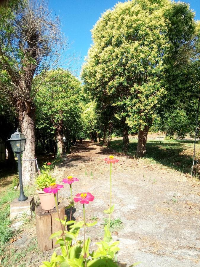 フチェッキオAz.Agricola Agriturismo La Locanda Di Lannアパートメント エクステリア 写真