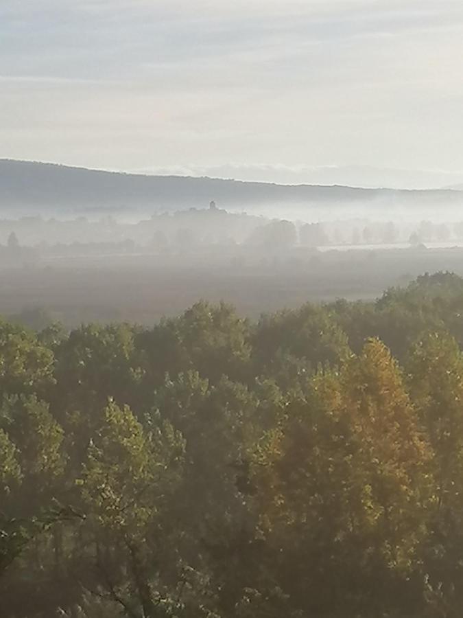 フチェッキオAz.Agricola Agriturismo La Locanda Di Lannアパートメント エクステリア 写真