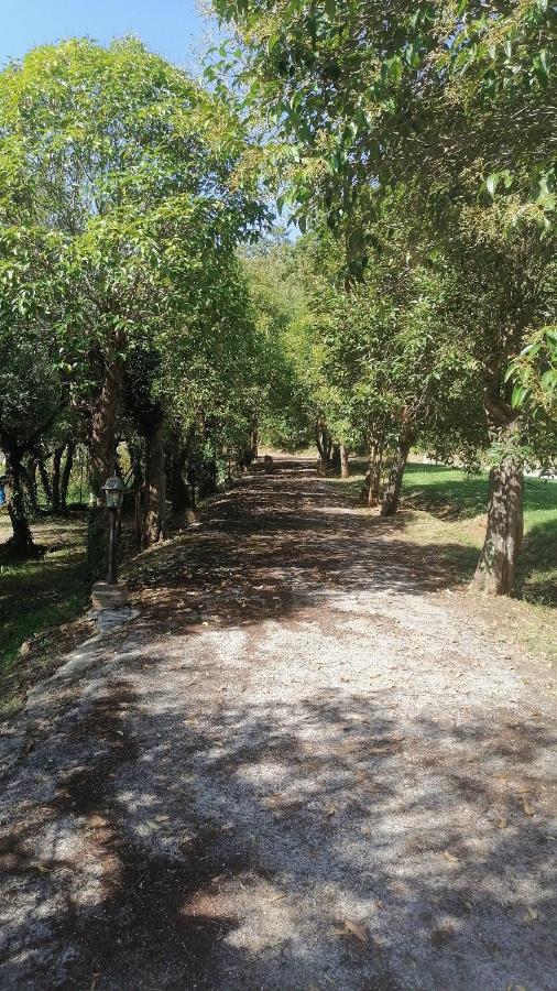 フチェッキオAz.Agricola Agriturismo La Locanda Di Lannアパートメント エクステリア 写真