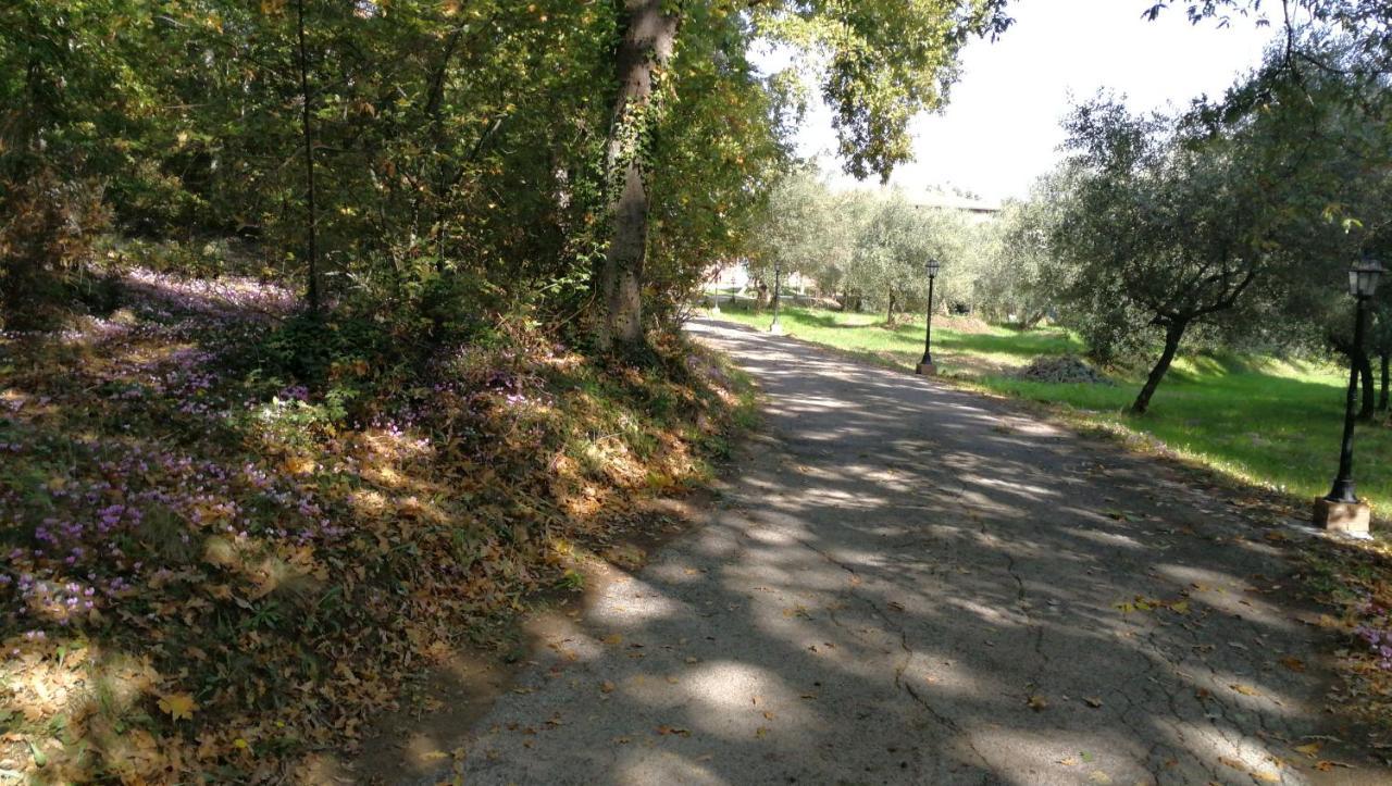 フチェッキオAz.Agricola Agriturismo La Locanda Di Lannアパートメント エクステリア 写真