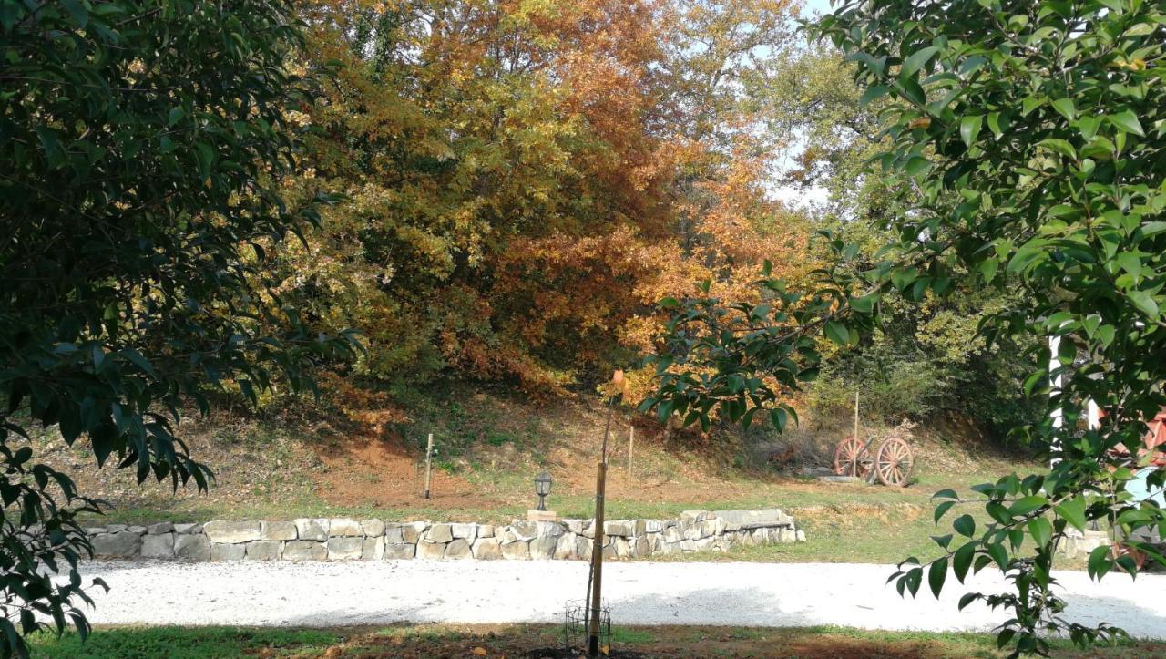 フチェッキオAz.Agricola Agriturismo La Locanda Di Lannアパートメント エクステリア 写真