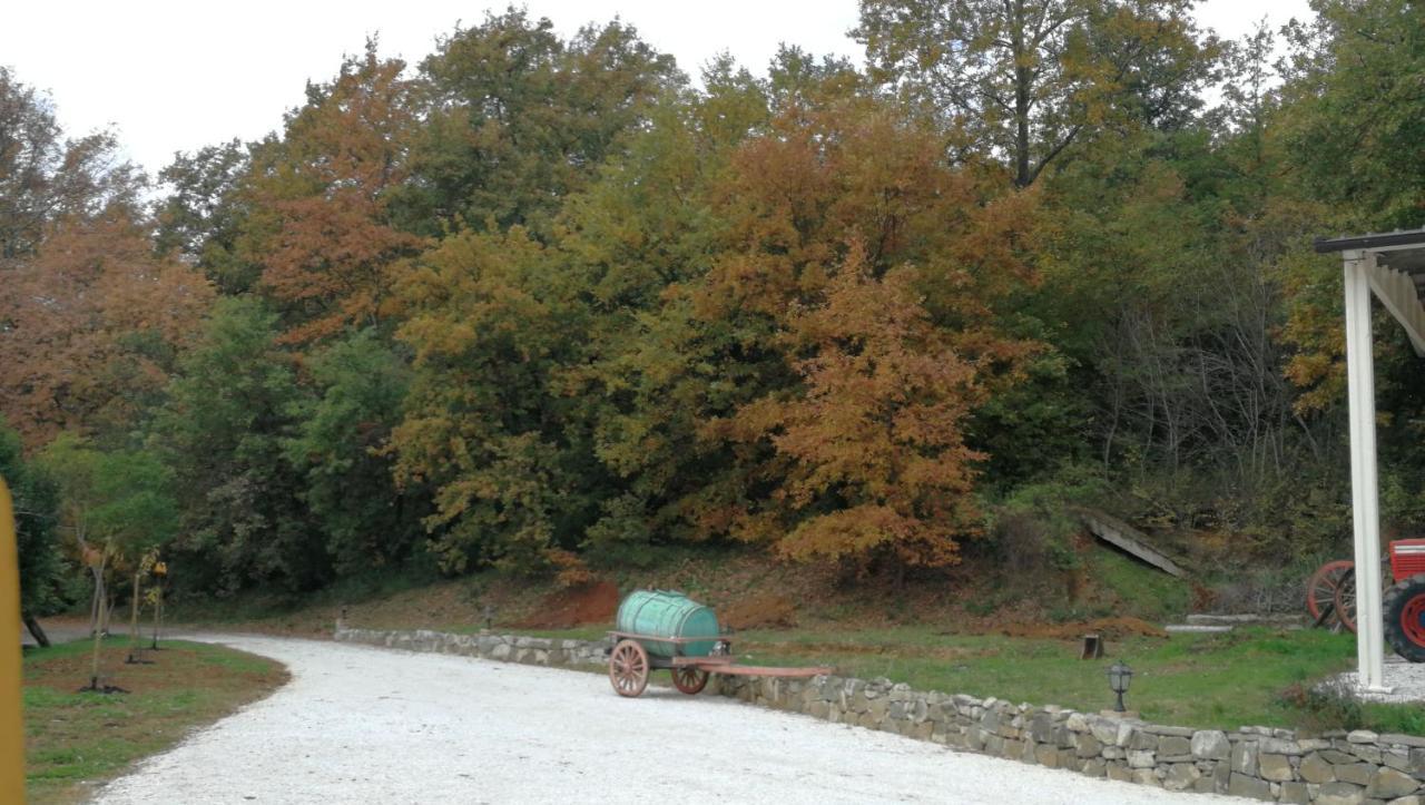 フチェッキオAz.Agricola Agriturismo La Locanda Di Lannアパートメント エクステリア 写真