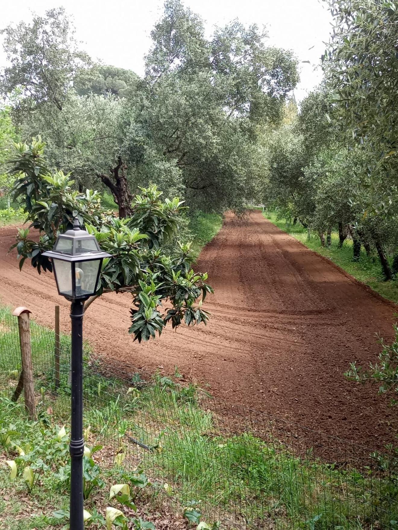 フチェッキオAz.Agricola Agriturismo La Locanda Di Lannアパートメント エクステリア 写真