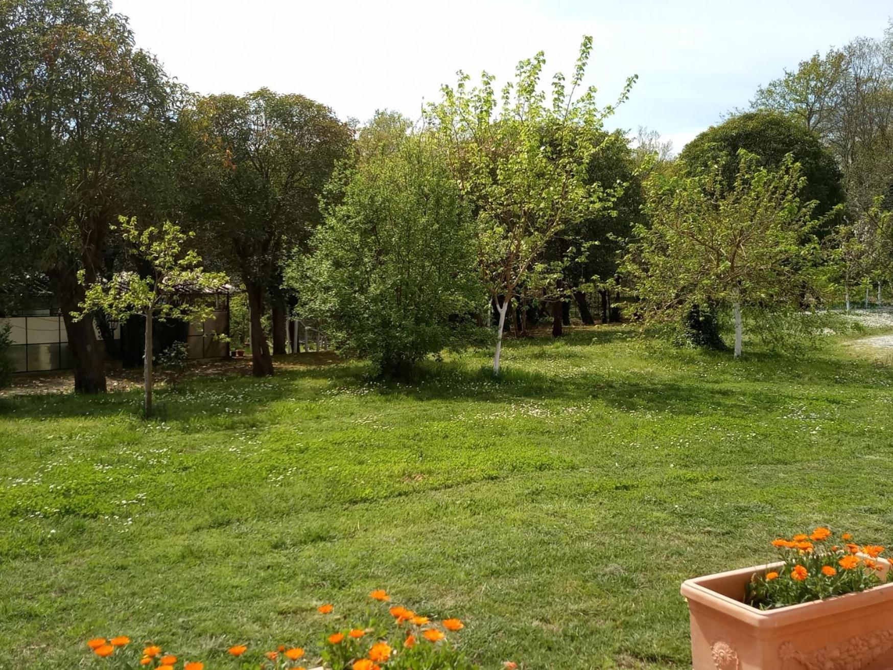 フチェッキオAz.Agricola Agriturismo La Locanda Di Lannアパートメント エクステリア 写真