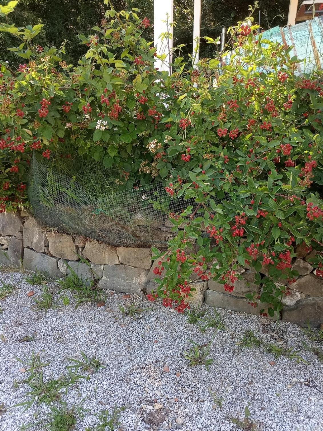 フチェッキオAz.Agricola Agriturismo La Locanda Di Lannアパートメント エクステリア 写真